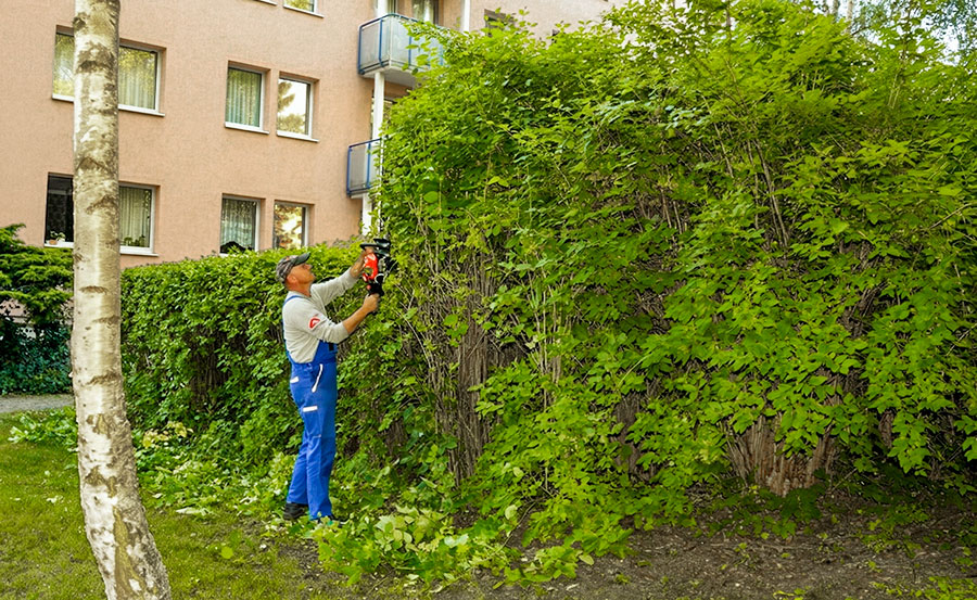 Landschaftspflege und Grünanlagenpflege in Erfurt und Thüringen - Universal-Gebäudedienste Thomas Greth